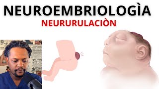 EP2NEURULACIÓN NEUROEMBRIOLOGÍA LO QUE TIENES QUE SABER DEL TUBO NEURAL [upl. by Bloxberg369]