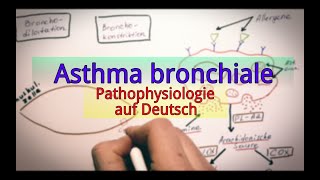 Asthma bronchiale Pathophysiologie [upl. by Umont107]