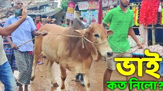 Bhai Koto Nilo Gabtoli Gorur Haat 2023Part 3 Qurbani Cow Price in Bangladesh Gabtoli Cow Market [upl. by Audrye448]