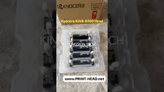 Kyocera KJ4B0300 Printhead [upl. by Prendergast897]