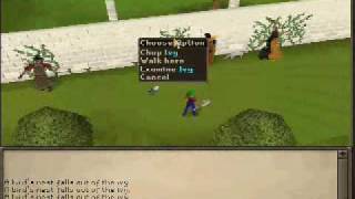 Choking Ivy best wcing exp  runescape update [upl. by Ailatan]