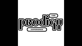 The Prodigy  Charly Trip Into Drum and Bass Version [upl. by Hudnut]