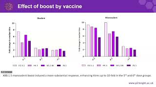 Igor Andrade Santos  Boosting antibody responses in older adult populations a comparative study [upl. by Haughay355]