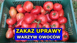 Czy będzie Zakaz Uprawy Warzyw i Owoców we Własnych Ogródkach Przydomowych Zielony Ład Ślad węglowy [upl. by Ezri]