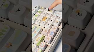 Cute mechanical keyboard ASMR Pt1 [upl. by Aileno]