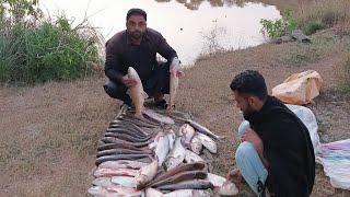 fish 🐠🐠 hunting in dam  fishing vedio [upl. by Namus]