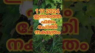 November 1 2024nakshathraphalam [upl. by Lleruj]