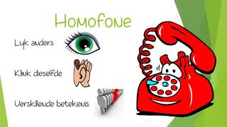 Grade 5  Afrikaans  Homonieme en Homofone [upl. by Gratia]