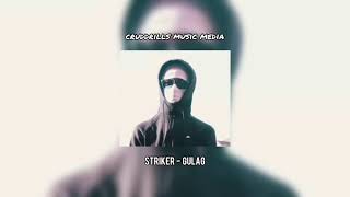 ACG Striker  Gulag Audio Remix [upl. by Felicle]