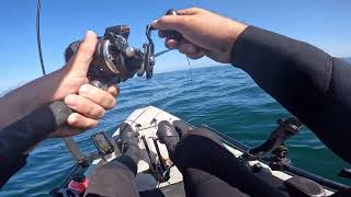 Kayak fishing off the Oregon coast for lingcod and rockfish [upl. by Krongold]