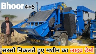 सरसों निकलते हुए मशीन का लाइव डेमो bhoor 4×6 thresher machine bhoorthresher [upl. by Solakcin1]