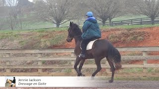 Cantering the gaited horse [upl. by Anita]