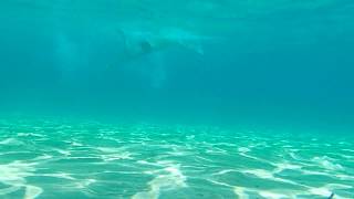 Plaza ksenija Xenia Beach Kassandra Halkidiki Greece with underwater video [upl. by Ney]