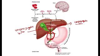 Biliary atresia Paediatric surgery MRCS question solve CRACK MRCS [upl. by Asirram699]