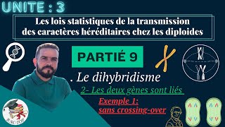 UNITÉ 3  Parti 9 le dihybridisme gènes liés  Crossingover  La distance  La carte factorielle [upl. by Bear]