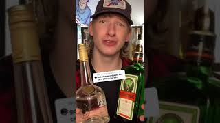 REAL GOLD Goldschlager Cinnamon Liquor amp Jager Mix Is it good [upl. by Nnahgem905]