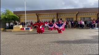 Baile Campesina Dominicana  Fernando Villalona baile campesina [upl. by Onailime]