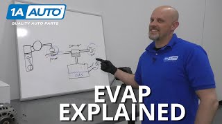 Check Engine Light Codes P0446 P0455 What Causes a Car EVAP Code [upl. by Kcajyllib731]