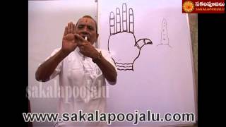 PALMISTRY PART  4 IN HINDI [upl. by Nyrraf]