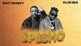 Rayvanny Feat Alikiba Spesho Official Music Video 480p [upl. by Ahsien]