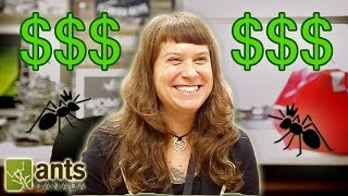 How Much Money Does an Ant Scientist Make ft Dr Corrie Moreau [upl. by Mchenry624]