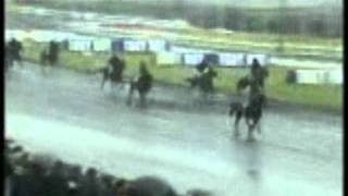 Prix de Cornulier 2001 First de Retz [upl. by Nylecaj]