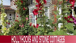 Hollyhocks and Stone Cottages in the North Norfolk village of Blakeney [upl. by Ligetti]