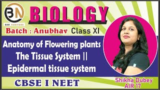 ANATOMY OF FLOWERING PLANTSTHE TISSUE SYSTEMEPIDERMAL TISSUE SYSTEM CLASS XIBIOLOGY NEET2025 [upl. by Edorej217]