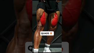 Top Quad Workout for Beginners  Get started the Right Way [upl. by Gilford730]