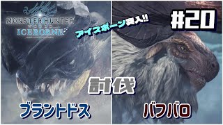 モンスターハンターワールド実況20 アイスボーンに突入 ブラントドスとバフバロ討伐 [upl. by Adirahs]