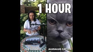 1 HOUR The Kiffness x Alugalug Cat 3 0 Spell Cat [upl. by Nosloc229]