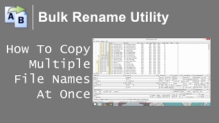 How To Copy Multiple File Names At Once [upl. by Nob]