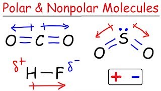 Polar and Nonpolar Molecules [upl. by Ennayhs]