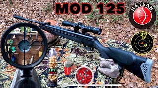 One Year Review Hatsan Magnum Mod 125 Airgun 22 Cal Spring Piston Airgun [upl. by Kris580]