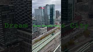 Toronto City Canadacanada toronto travel [upl. by Aisan]