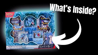 GYARADOS ex PREMIUM COLLECTION BOX What will I pull [upl. by Anastase543]