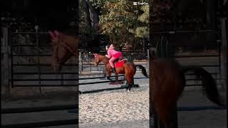 Prob one of my best jumps lol horse equestriantraining horseriding horsetraining [upl. by Bonnee377]