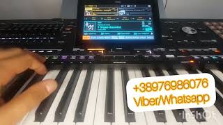 KORG PA5X NEW PLAY SET 2025 NOVO [upl. by Kyla]