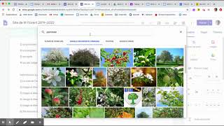 Comment faire une page web avec Google Site [upl. by Theola]