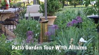 Patio garden tour with allium bulbs [upl. by Atil]