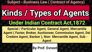 Types of Agent in Contract Law  kinds of Agents in Contract of Agency Classification of Agents [upl. by Salazar]