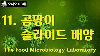 식품미생물 실험Food Microbiology Laboratory11곰팡이의 슬라이드 배양곰팡이를 슬라이드 배양을 통해 현미경으로 관찰 곰팡이 종류 나래이션 X 3배 [upl. by Kaye]