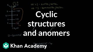 Carbohydrates  Cyclic structures and anomers  Chemical processes  MCAT  Khan Academy [upl. by Catto]