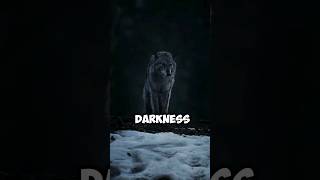 Darkness my Old Friend [upl. by Notlimah]