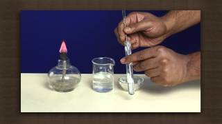 Making of soap  chemical reactions  Chemistry [upl. by Htelimay859]