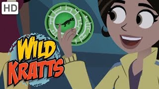 Wild Kratts  Top Season 1 Moments 2 Hours  Kids Videos [upl. by Pomcroy970]