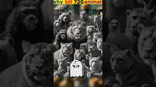 Animal Massacre Why 🤔  पशु नरसंहार क्यों 😱 animals [upl. by Annehsat]