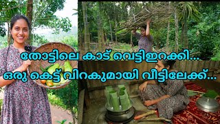 തോട്ടിലെ കാട് വെട്ടിഇറക്കിഒരു കെട്ട് വിറകുമായി വീട്ടിലേക്ക്Saranyas beauty vlogsDay in my life [upl. by Siduhey]