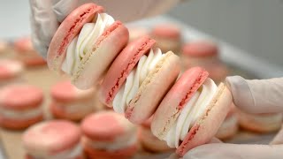 Raspberry Milk Macarons SUGAR BEAN [upl. by Zurn]