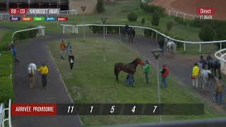 Live Hippodrome « KHEMISSET »  Courses du « 13112024 » [upl. by Wolfort]